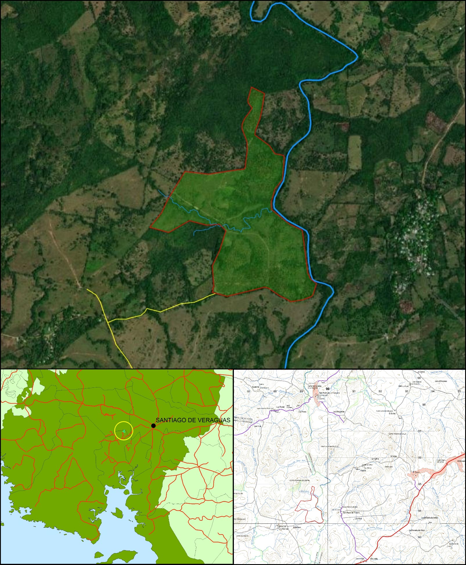 Imagen 6 – composición vertical de San Pedro